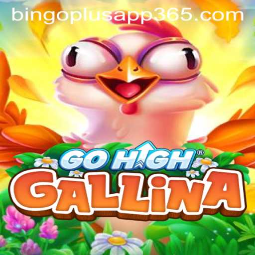 GoHighGallina: A New Gaming Sensation with Bingoplus App