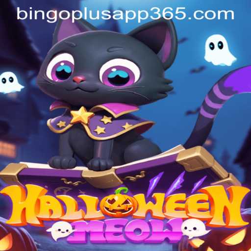 Discover the Thrills of HalloweenMeow: A Spooky Adventure with Bingoplus App