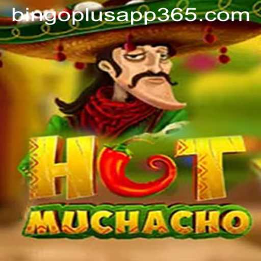 Exploring the Exciting World of HotMuchacho and Bingoplus App