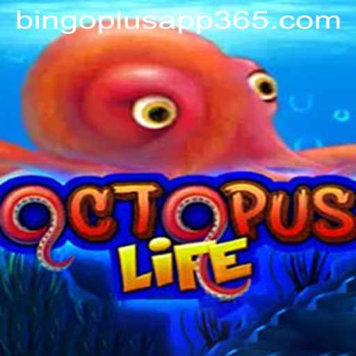Exploring the Intriguing World of OctopusLife and the Rise of Bingoplus App