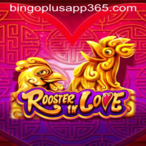 Exploring the Thrilling World of RoosterInLove and Bingoplus App