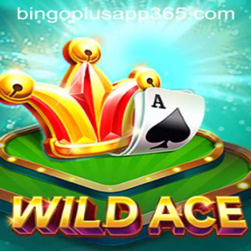 Exploring WildAce: A Thrilling Journey into the World of Bingoplus App